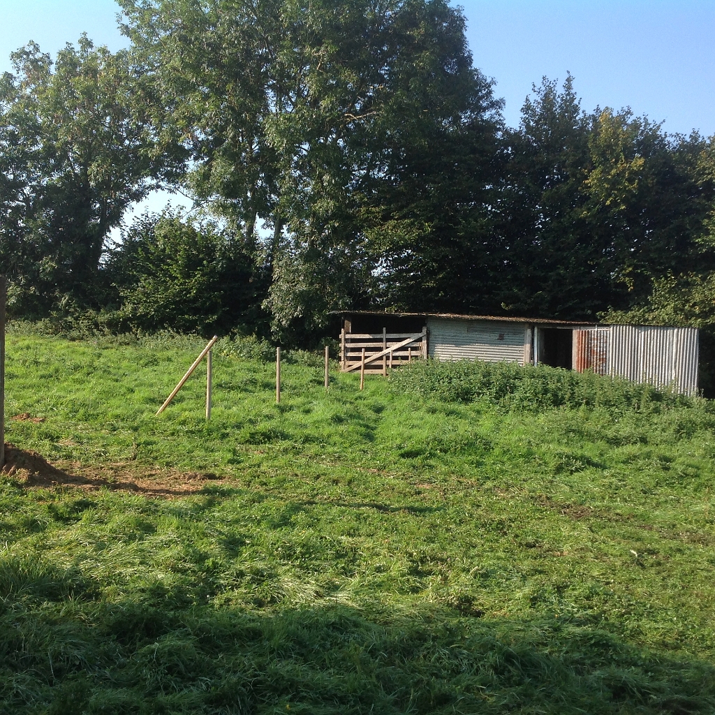 20140916 LE BOSQUET FENCING & POND WORKS 16.jpg